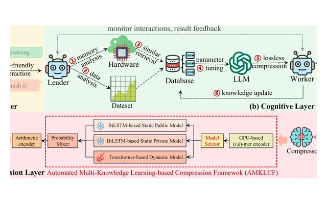 Framework figure