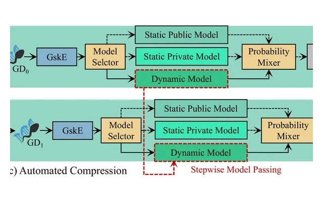 Framework figure